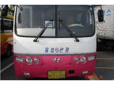 автобус Hyundai AERO TOWN 2005 г.в.