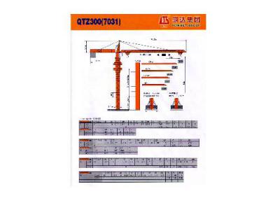 башенный кран HONGDA QTZ300 (7031) 2012 г.в.