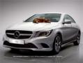 18.02.2014 - Mercedes - от курицы к кошке