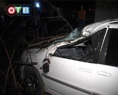 Упавшее дерево раздавило автомобиль